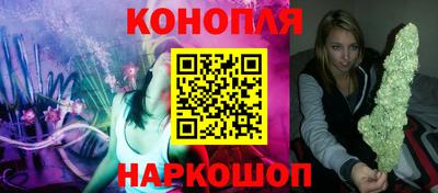 прущие грибы Кандалакша