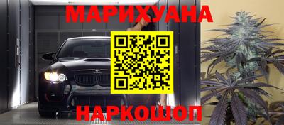 прущие грибы Кандалакша