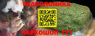 сатива Кинель